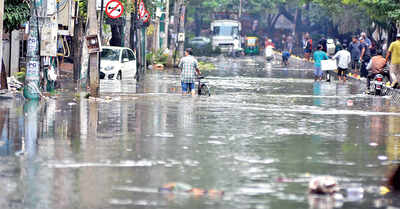 Flood brings home the typhoid bug