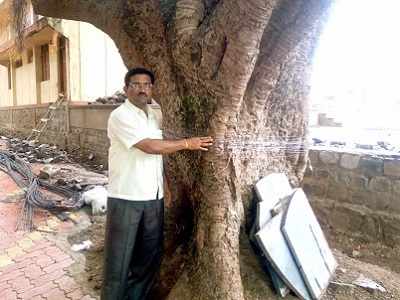 Belagavi: On eve of Vat Poornima, man performs rituals against wife who he claims harasses him