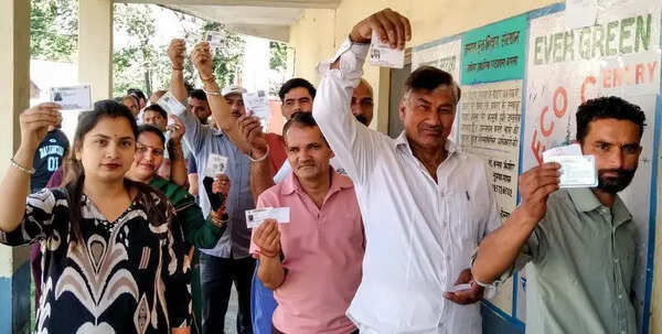 High turnout in HP’s crucial civic elections