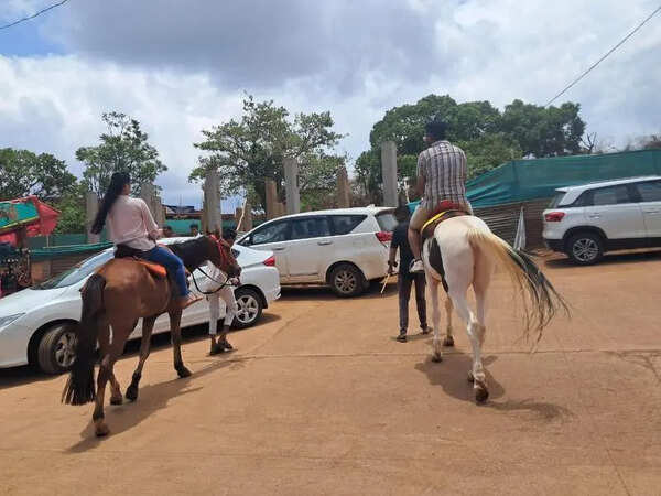 Officials to act against horse operators for overcharging