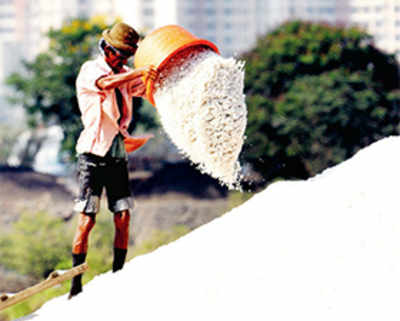 State for freeing up salt pans, but MMRDA thinks otherwise