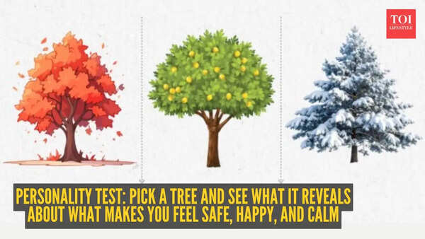 Personality test: Pick a tree and see what it reveals about what makes you feel safe, happy, and calm