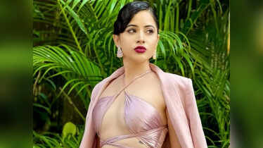 From Devoleena Bhattacharjee to Mandana Karimi: Celebs who've ...