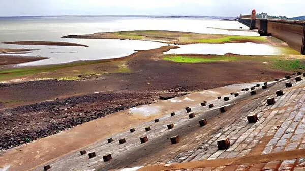 TB reservoir nears dead storage, 4 districts face drinking water scare