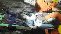 articleShow 92213848