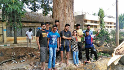 Students’ ‘chipko movement’ saves tree on campus