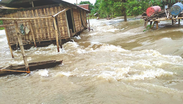 Assam: Threat to animals in flooded Kaziranga National Park