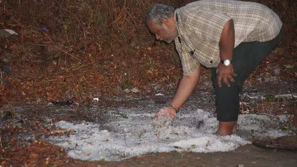 Hailstorm lashes Shivamogga, worries farmers