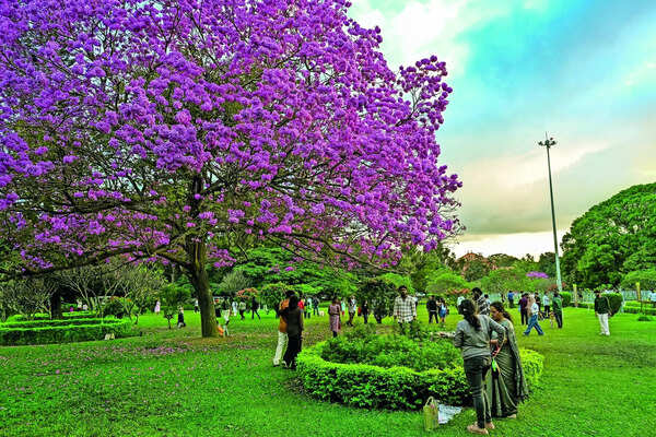 Rediscovering history through Bengaluru’s heritage trails