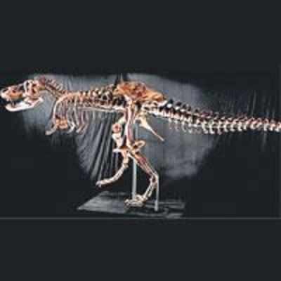 Fancy a dinosaur? You can bid for this one