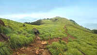 Wooing the rains in Western Ghats 