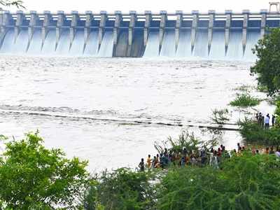 Maharashtra government wants to privatise management of dams
