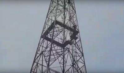 Hyderabad: Home Guard climbs 70 feet cell tower to rescue crow stuck in kite knot