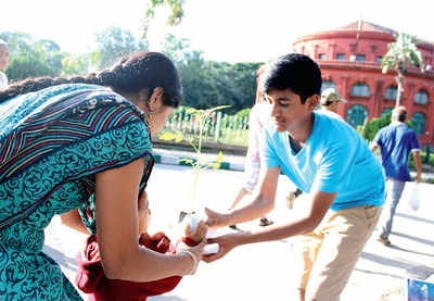 Class 12 student is first class organic gardener