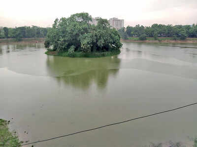 ‘Not make-up, our lakes need systemic surgery’