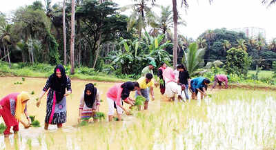 Mangaluru might soon have a green army