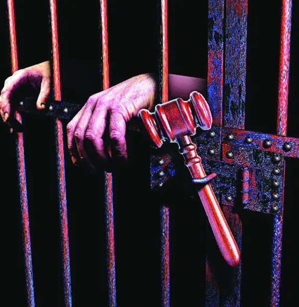 US federal court sends man from Gujarat to 10 years in prison without parole in minor trafficking case