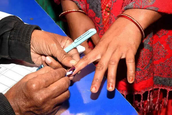 17 foreigners detained at Madurai and Chennai airports’ immigration checks for voting in assembly elections