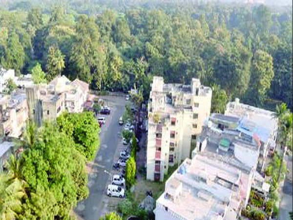 Futala multimedia show to be ready by August 15: NIT
