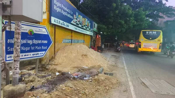 Adyar roads a pain for pedestrians