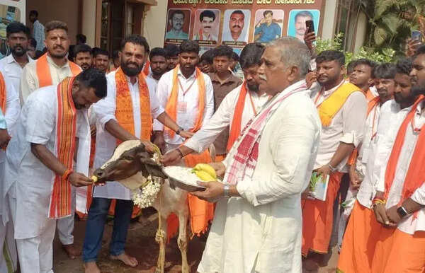 We want to protect cows, unite society: Bajrang Dal