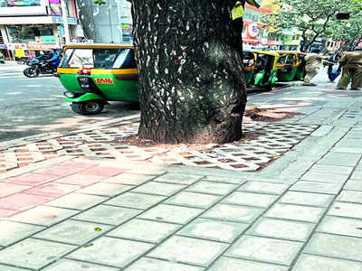 Malleswaram Mirror Special: Around Town: Residents’ plea to save trees