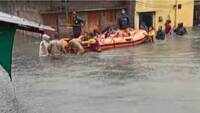 Indore: SDRF rescues locals stranded in flood-affected areas 