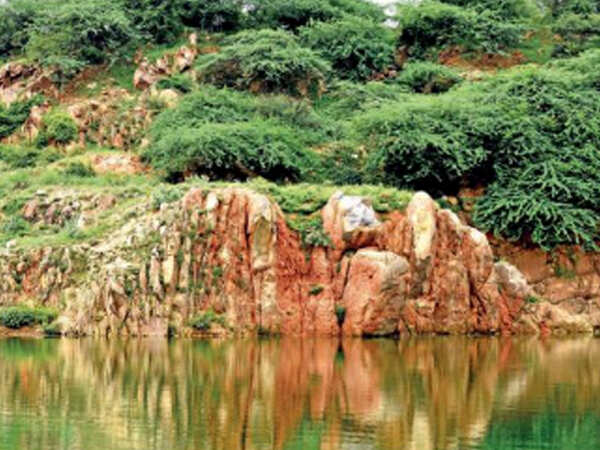 Haryana diverted highest share of forest cover in North India