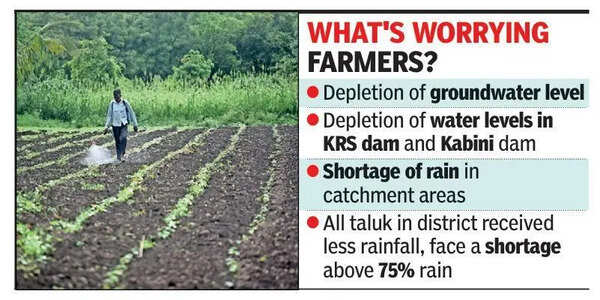 Scanty rainfall impacts pre-kharif sowing in Mysuru district