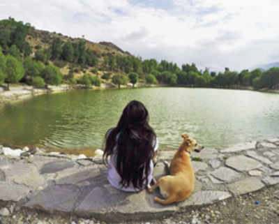 How holidaying with your pet can change your life