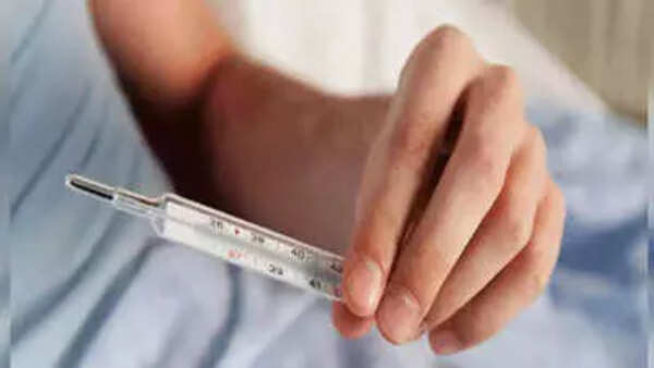 3 with fever die, not dengue, says Noida