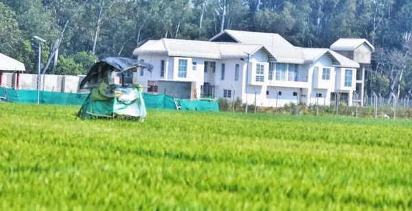 NGT orders probe into ‘illegal resorts, hotels’ in ‘tiger zone’