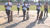 International Yoga Day: Dog squad of BSF performs yoga in Jammu 