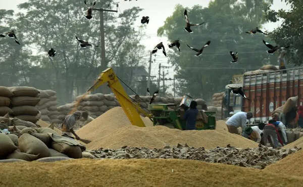Haryana dismisses five officials linked to Rs 20cr Karnal paddy scam