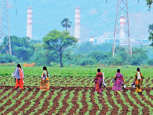 FabIndia, ITC part of government panel to help grow rural businesses