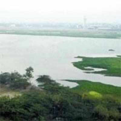 Survey finds Juhu '˜nullah' is actually a lake