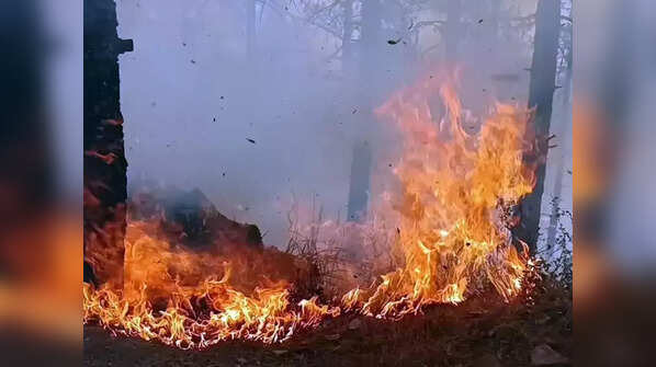 Forest fire in Nainital