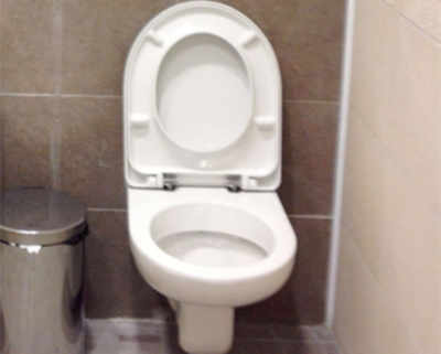 Woman flushes £330,000 down the toilet