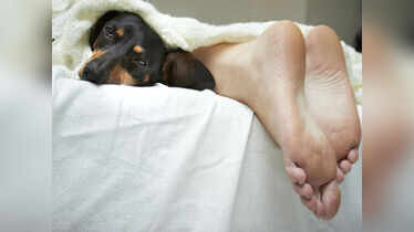 Is sleeping with your dog bad for your health?