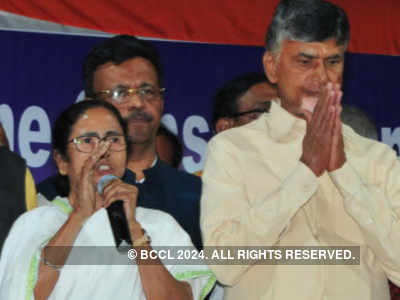 Mamata Banerjee will win all Lok Sabha seats in Bengal:  Chandrababu Naidu