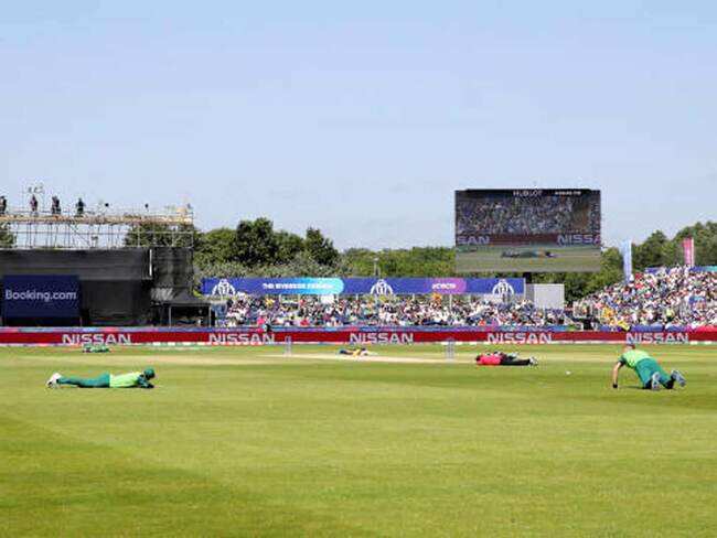 Watch: When bees briefly halted Sri Lanka-South Africa World Cup encounter