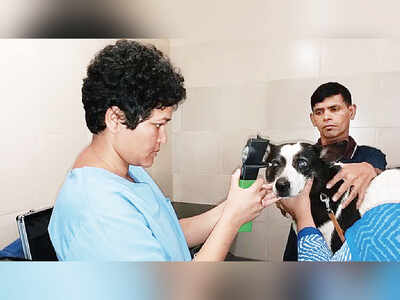 City's first eye clinic for animals in Chembur