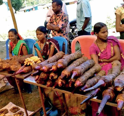 Karnataka: Tuber mela a huge hit in Joida