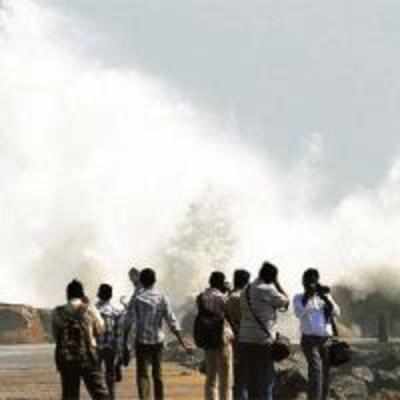 Coastal areas of Andhra on high alert as cyclone Thane nears