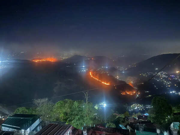 2 wildfires ravage Nainital forests, officials on alert