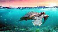 4 Tips to reduce plastic waste on a trip 