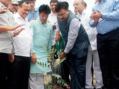 Did BJP govt really plant 50 crore trees?