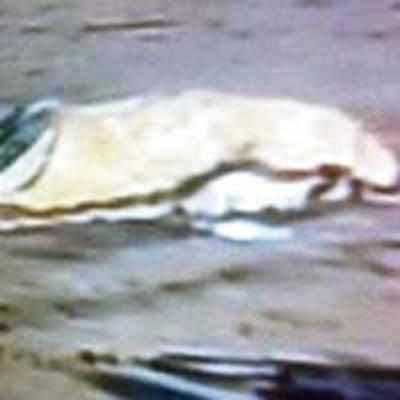 Yet another body found at Juhu beach