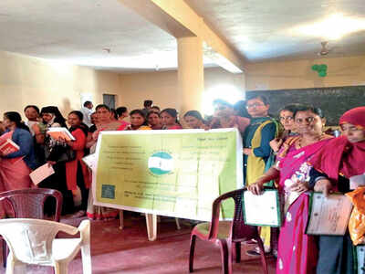 Govt schools in city get the green thumbs-up