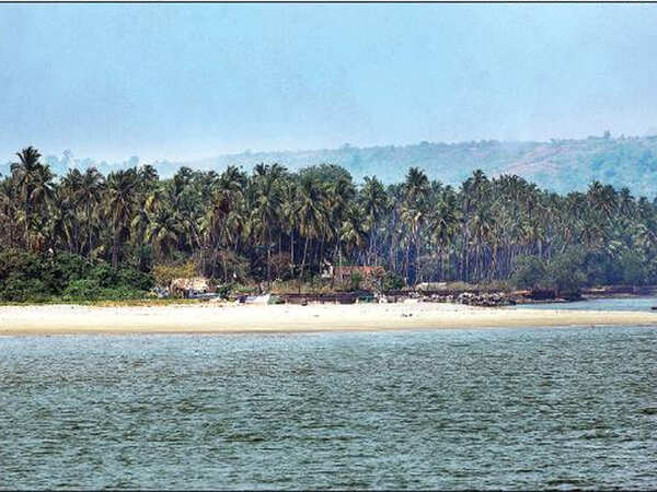 When Olive Ridleys swam to the land of goddess Morjai